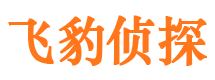 林州市私家侦探